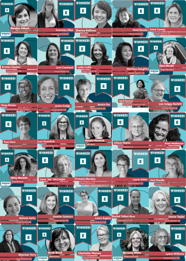 photos and names of the 35 Emerge women who won their seats in the 2020 election